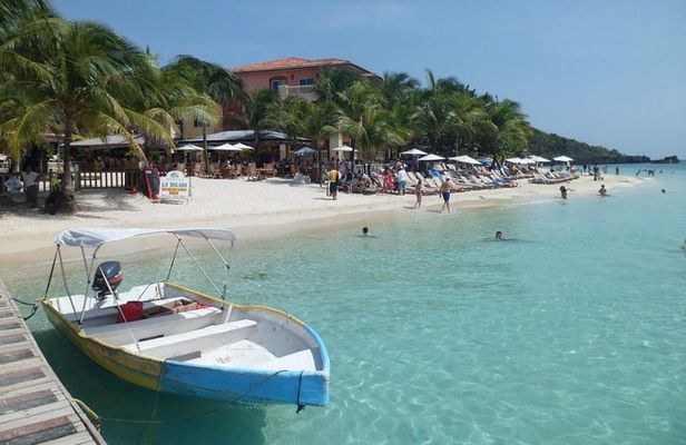Roatan Horseback Ride and Swim