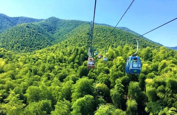 Yixing Bamboo Forest Private Day Tour from Wuxi with Lunch
