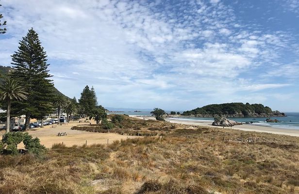 Tauranga Shore Excursion: History & Kiwifruit Tasting – 4 Hours