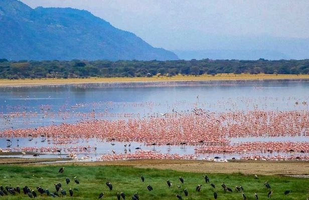 6 days Budget Camping Safari Tour Tanzania