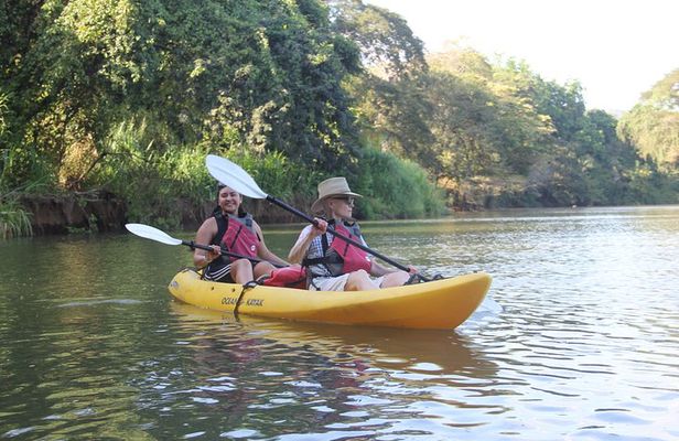 Wildlife and Mangrove Kayaking Tour Río Ora