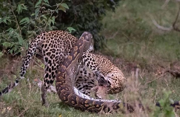 3 Days to Maasai Mara N/R.