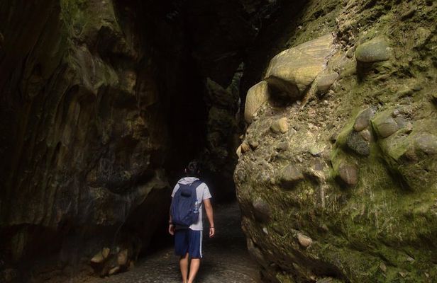 Discovering Dehradun: A Full Day Guided Tour