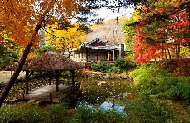 Korean Folk Village Private Tour