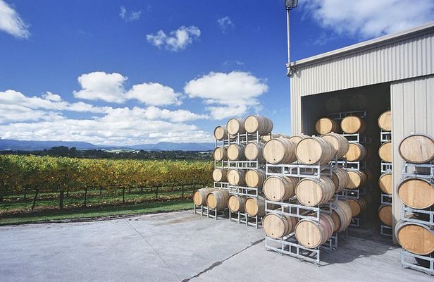 Yarra Valley Private Car Winery Tour And Chocolate.1-7 Passengers One Car Price