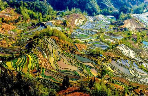 3-Day Private Tour to Jianshui and Yuanyang Hani Rice Terraces from Kunming