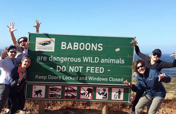 Cape of Good Hope and Cape Winelands Day Tour from Cape Town