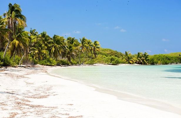 Gorgeous Contoy Adventure! Round Transportation from Cancun & Riviera Maya
