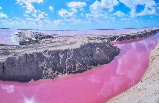 Private Tour: Ek Balam, Pink Flamingos Sanctuary and Tequila Tasting Factory