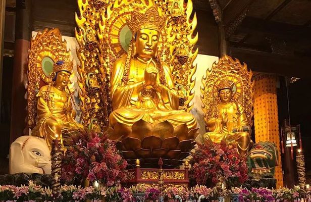 Shanghai Private Tour of Zhujiajiao Ancient Town, Shanghai Zoo,Longhua Temple