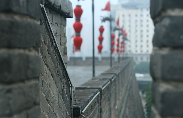 Private Xi'an 2-Day Tour from Shanghai with Deluxe Soft Sleeper Train Experience