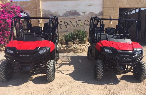 buggy Car Safari Tour & Camel Ride With Transfer - Marsa Alam