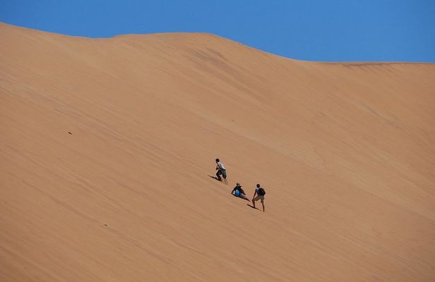 Highlights of Walvis Bay Private Tour