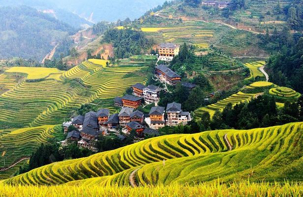 Private Day Tour to Longji Rice Terraces and Long Hair Village from Guilin