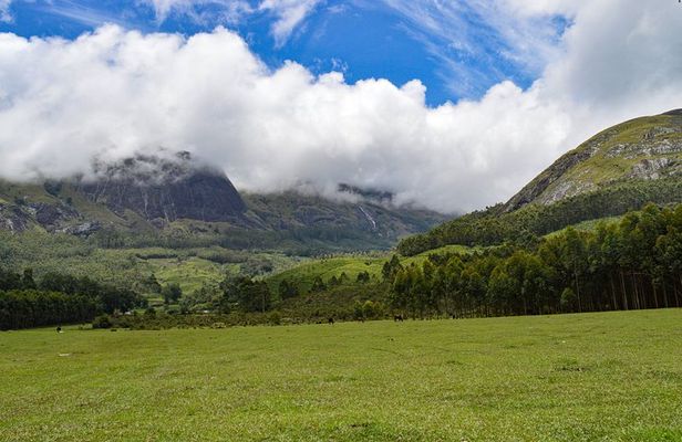 Full-Day Private Tour to Munnar from Kochi with Lunch