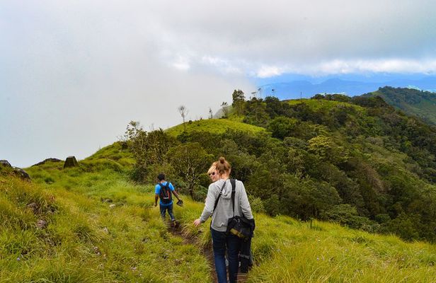 6 Days Tour Visit Munnar Hills, Alleppey Houseboat, Kovalam Beach