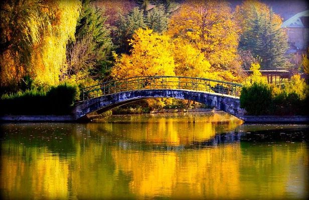 Travel to the Green Dilijan