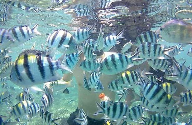 Lombok Tour Package, 4 Days 3 Nights