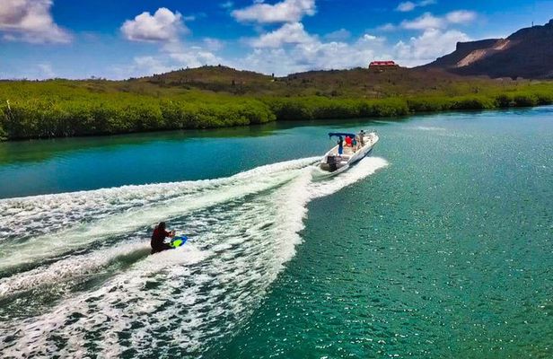 Wake & Knee Board, Water Ski