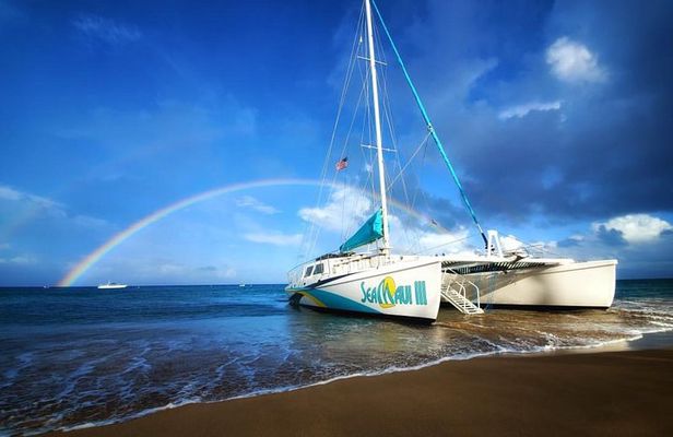 West Maui Half Day Snorkel from Ka’anapali Beach