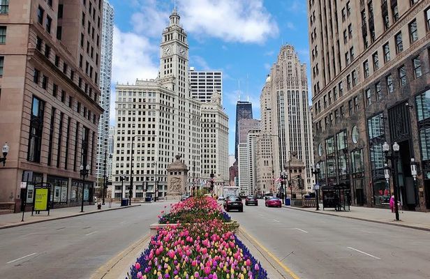 Private Chicago City Minibus Tour