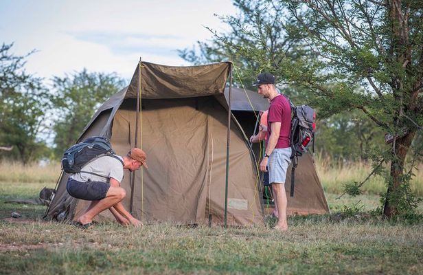 4 Days safari Tour Tanzania