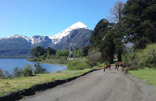 Tour of the Lanin Volcano and Huechulafquen Lake