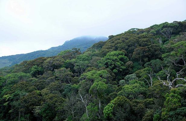 12 Nights Wild Life & Nature Tour