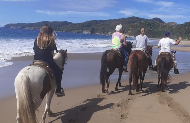 Horseback Riding in Ixtapa with Hotel Pickup