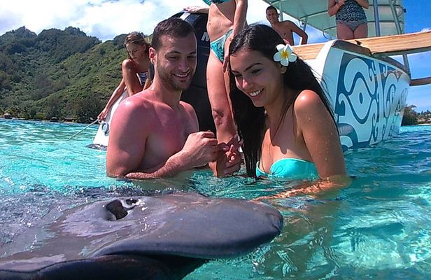 3-hour Lagoon Snorkeling Tour - Shared Tour