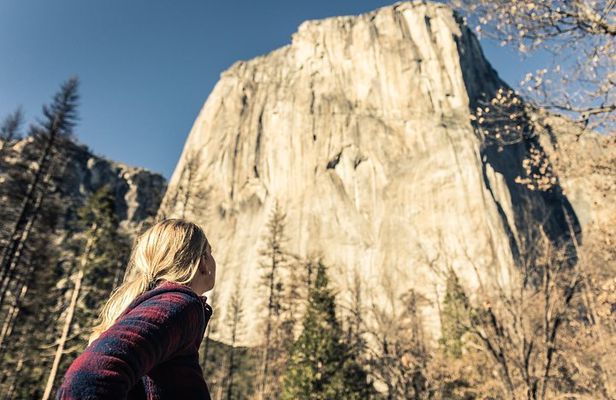 San Francisco to Yosemite One-Way Transfer