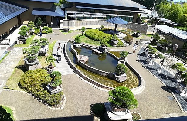 Bonsai Museum & Bonsai Experience