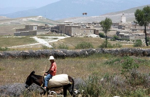 Berber villages trek Day trip