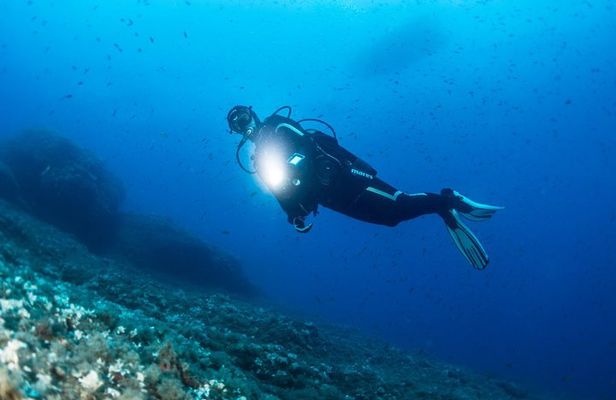 Scuba Diving at night in Mirissa