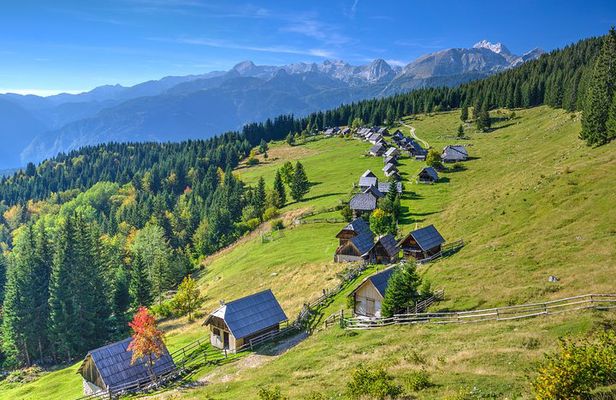 Pokljuka Mountain Biking