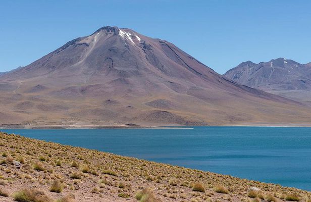 Full day Altiplanic Lagoons + Red stones viewpoint + Salar de Atacama
