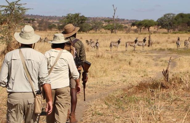 2 Days Lodge safari.