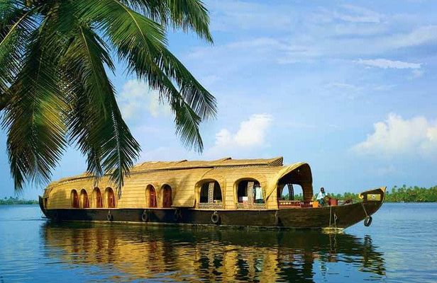 Private Houseboat Backwater Day Cruise tour with Lunch from Cochin