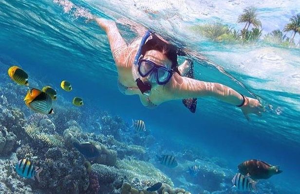Hamata Island snorkeling tour from Marsa Alam 