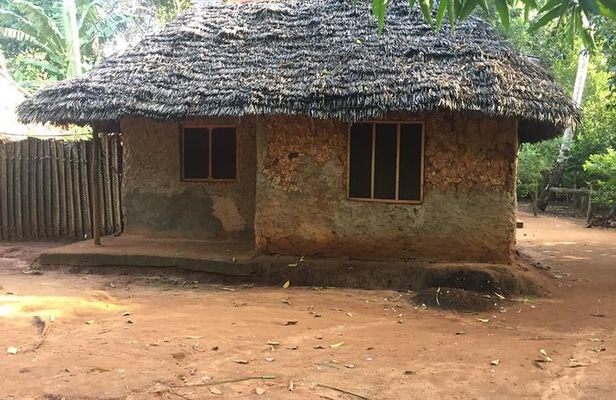Spice Farm Tour and Jozani Forest Private Tour in Zanzibar