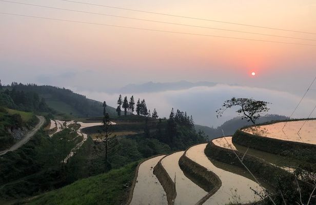 Stunning Terraced Rice Fields on 2-Day Trekking