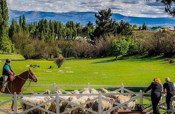 Country Afternoon with Dinner Show - Estancia 25 de Mayo