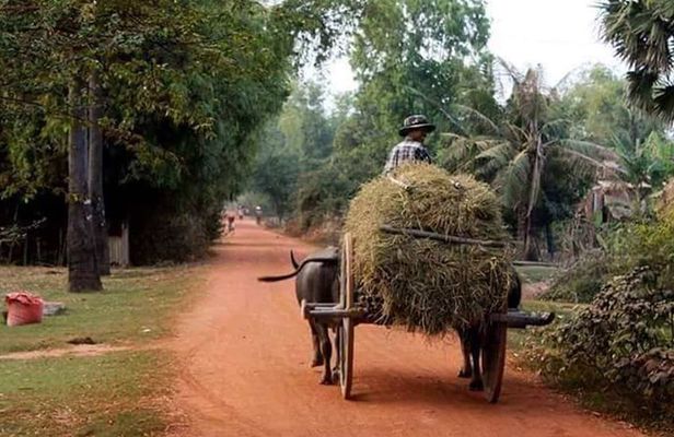 Tuk Tuk Journey: Exploring Rural Life and Silk Farm Craftsmanship