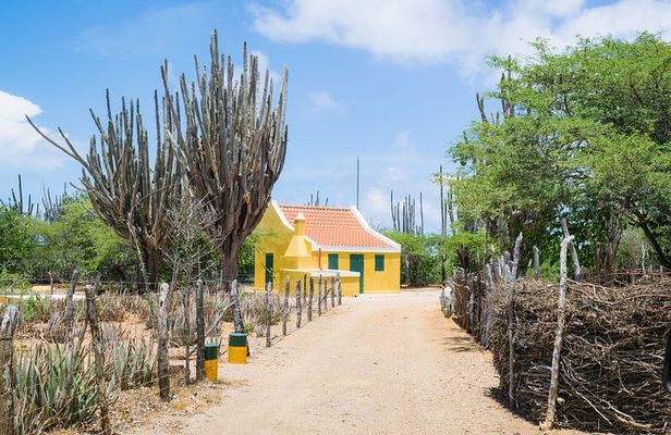 Highlights of Bonaire & Cultural Experience