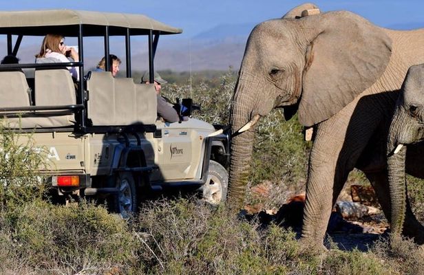Private return transfers from Cape Town to Sanbona Wildlife Reserve