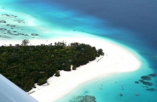 Zanzibar Full Day Dolphin Tour; Mnemba Island; Nungwi Beach & Kendwa Beach Tour