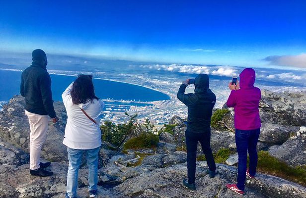 Private Tour: Table Mountain, Penguin Colony & Cape of Good Hope incl. Park Fees