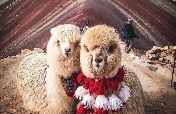 7 Colors Mountain Tour: Explore the Magic of Vinicunca in 1 Day