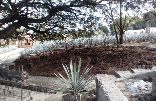 7 day circuit west: México, San Miguel, Guadalajara, Morelia