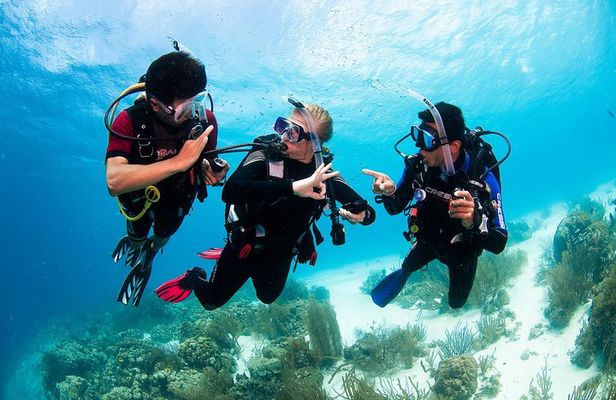 Two reef discovery dives with professional instructor (no experience necessary)